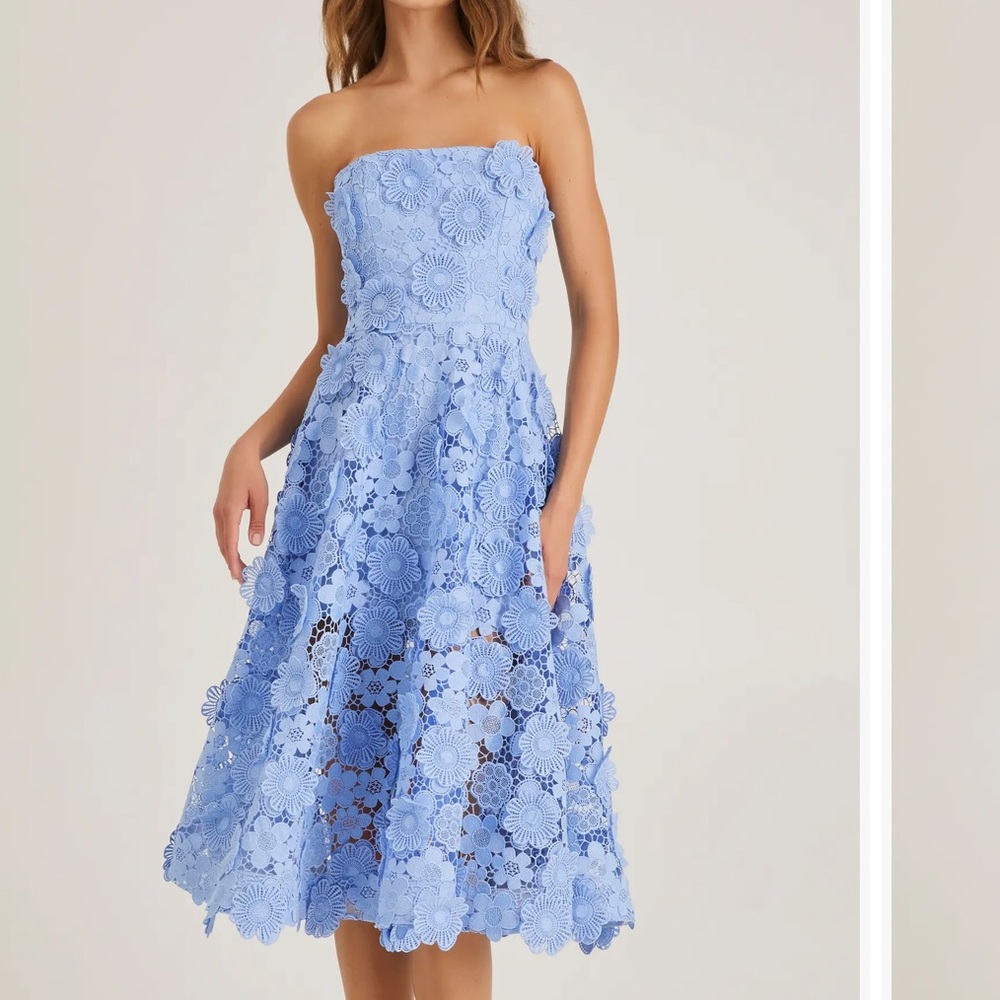 Helsi Florence 3D Floral Embroidered Fit & Flare Cocktail Dress, XL